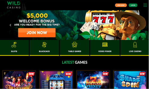 Play at the best Wild Casino Site