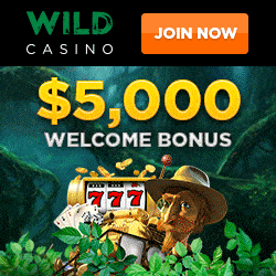 Wild Casino Wlcome Bonus