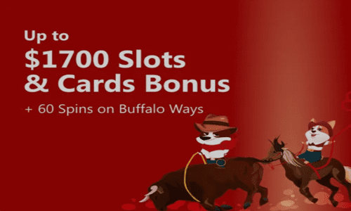 play buffalo ways with slots and cards bonus at red dog casino